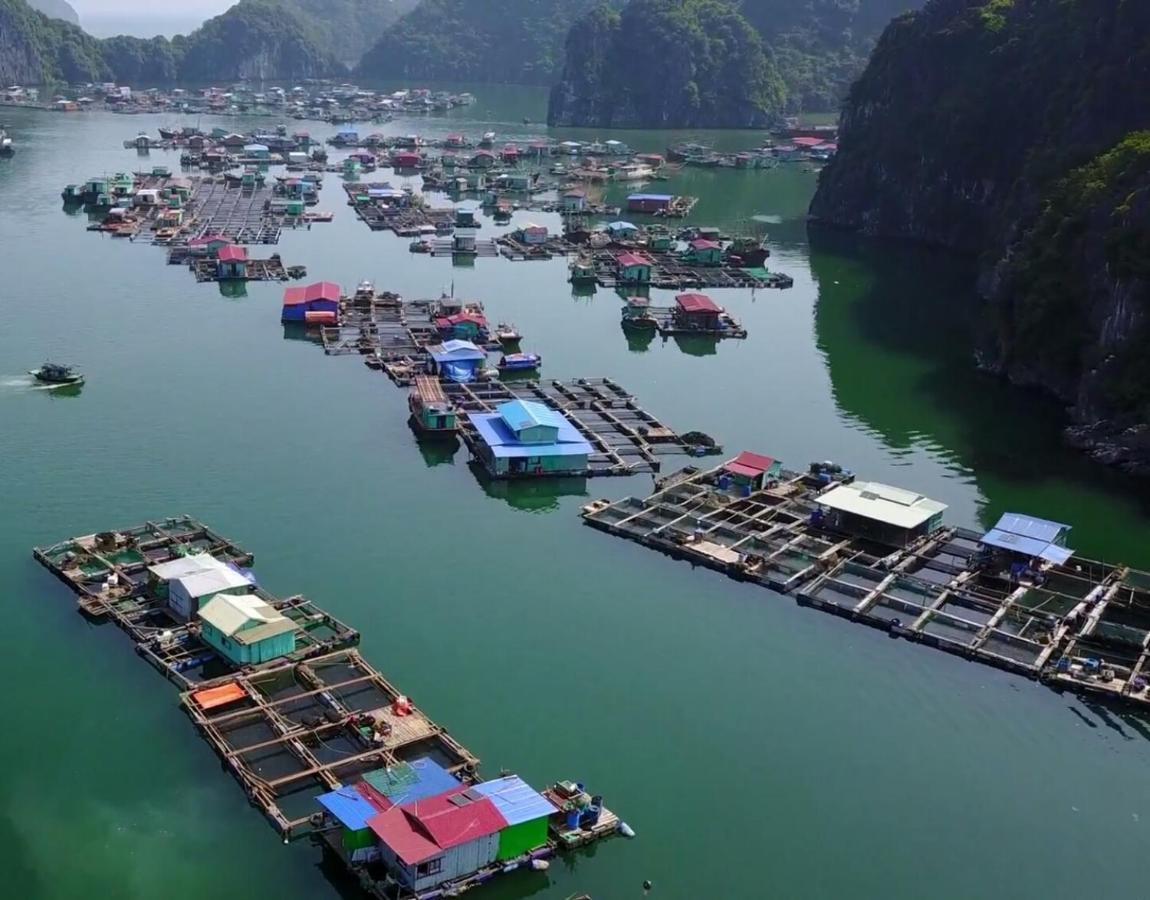 Cat Ba Thailand Hotel Dong Khe Sau Екстер'єр фото